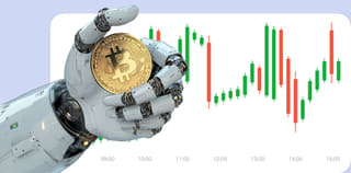 Dashboard view of the Raven Fundmere crypto exchange platform